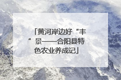 黄河岸边好“丰”景——合阳县特色农业养成记