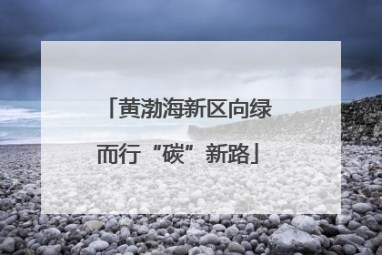 黄渤海新区向绿而行“碳”新路