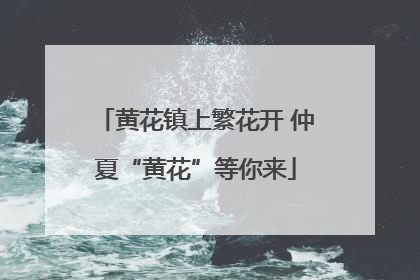 黄花镇上繁花开 仲夏“黄花”等你来