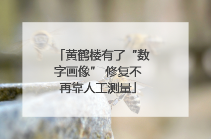 黄鹤楼有了“数字画像” 修复不再靠人工测量