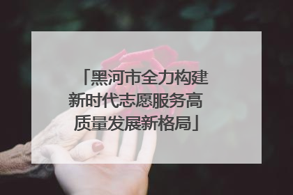 黑河市全力构建新时代志愿服务高质量发展新格局