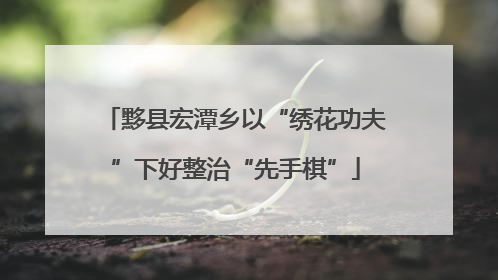 黟县宏潭乡以“绣花功夫”下好整治“先手棋”