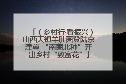 （乡村行·看振兴）山西天镇羊肚菌登陆京津冀 “南菌北种”开出乡村“致富花”