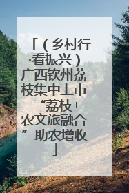 （乡村行·看振兴）广西钦州荔枝集中上市 “荔枝+农文旅融合”助农增收