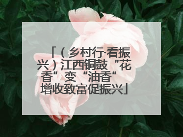 （乡村行·看振兴）江西铜鼓“花香”变“油香” 增收致富促振兴