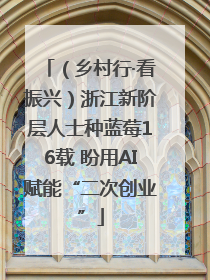 （乡村行·看振兴）浙江新阶层人士种蓝莓16载 盼用AI赋能“二次创业”