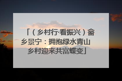 （乡村行·看振兴）畲乡景宁：拥抱绿水青山 乡村迎来共富蝶变