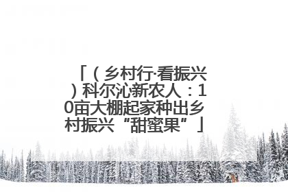 （乡村行·看振兴）科尔沁新农人：10亩大棚起家种出乡村振兴“甜蜜果”