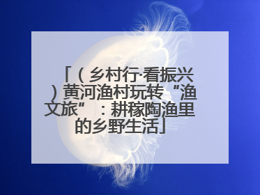 （乡村行·看振兴）黄河渔村玩转“渔文旅”：耕稼陶渔里的乡野生活