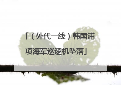 （外代一线）韩国浦项海军巡逻机坠落