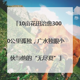 10亩花田治愈3000公里孤独，广水独眼小伙与他的“无尽夏”