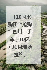 10国采购团“抢购”四川二手车，10亿元项目现场签约