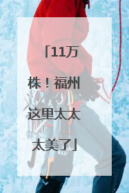 11万株！福州这里太太太美了