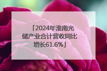 2024年淮南光储产业合计营收同比增长61.6%
