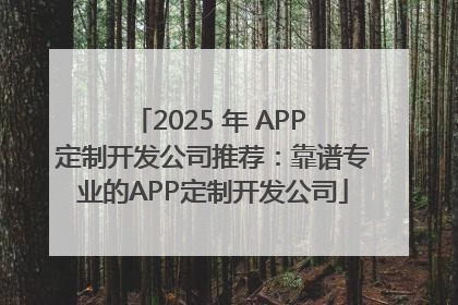 2025 年 APP 定制开发公司推荐：靠谱专业的APP定制开发公司