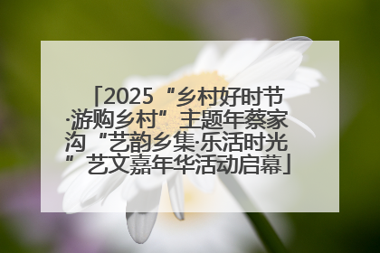 2025“乡村好时节·游购乡村”主题年蔡家沟“艺韵乡集·乐活时光”艺文嘉年华活动启幕