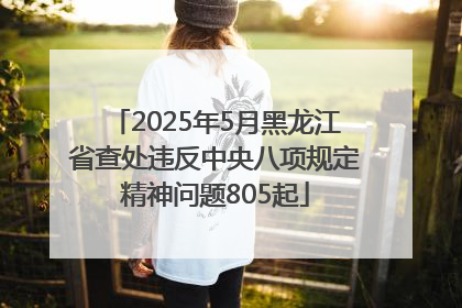 2025年5月黑龙江省查处违反中央八项规定精神问题805起