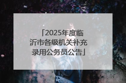 2025年度临沂市各级机关补充录用公务员公告