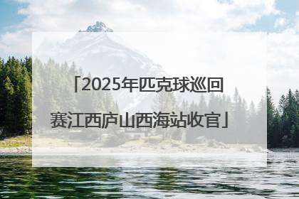 2025年匹克球巡回赛江西庐山西海站收官