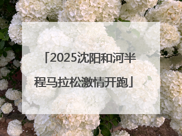 2025沈阳和河半程马拉松激情开跑