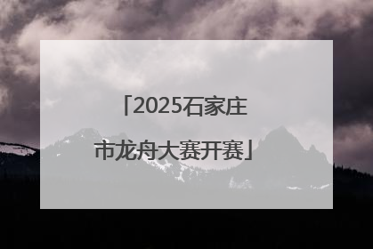 2025石家庄市龙舟大赛开赛