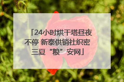 24小时烘干塔昼夜不停 新泰供销社织密三夏“粮”安网