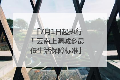 7月1日起执行！云南上调城乡最低生活保障标准