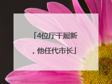 4位厅干履新，他任代市长