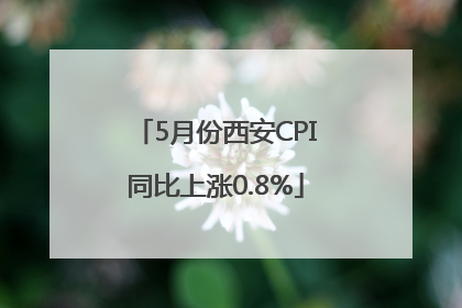 5月份西安CPI同比上涨0.8%