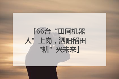 66台“田间机器人”上岗，泗阳稻田“耕”兴未来