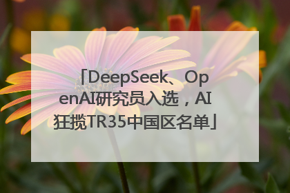 DeepSeek、OpenAI研究员入选，AI狂揽TR35中国区名单
