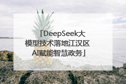 DeepSeek大模型技术落地江汉区 AI赋能智慧政务