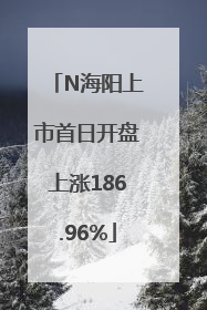 N海阳上市首日开盘上涨186.96%